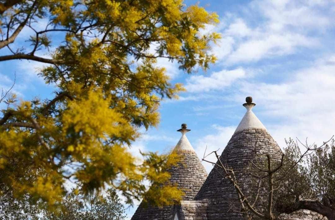 Trulli Azzalema With Exclusive Pool Vila Brindisi Exterior foto
